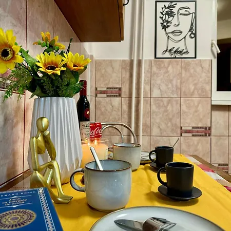 Joy Ultracentral Apartment Timisoara